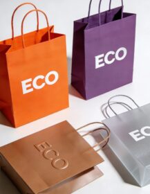 Fancy Boutique Eco-Friendly Biodegradable Premium Gift Bag Logo Screen Printed Ribbon for Supermarket Cosmetic Packaging 888J