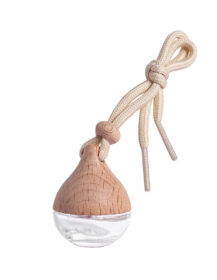 Car Scent Aroma Fragrance Diffuser air Freshener Bottle